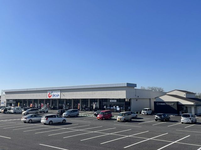 ドラックストア　カワチ薬品土浦南店（ドラッグストア）まで1000m
