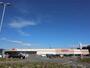 スーパー　COSTCO WHOLESALE(コストコ ホールセール)（スーパー）まで1178m