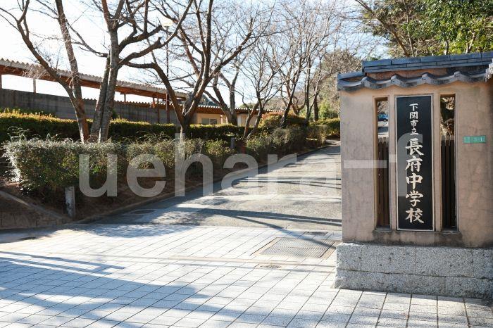 中学校　下関市立長府中学校（中学校）まで683m