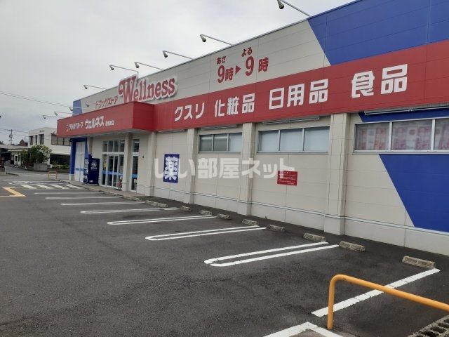 ドラックストア　ドラッグストアウェルネス 昭和町店（ドラッグストア）まで608m