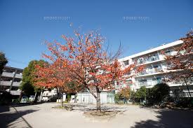 その他　中馬込貝塚公園（その他）まで1595m