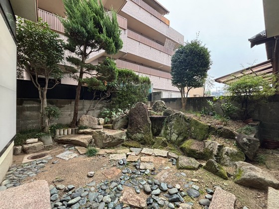 庭
