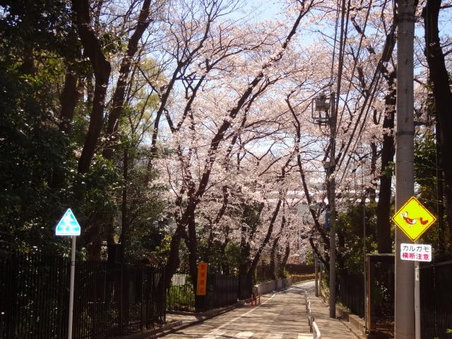 【ソレイユ目白の公園】