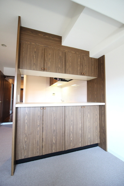 収納　カウンター収納　両側から開閉可