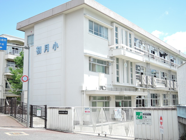 小学校　高知市立初月小学校（小学校）まで710m