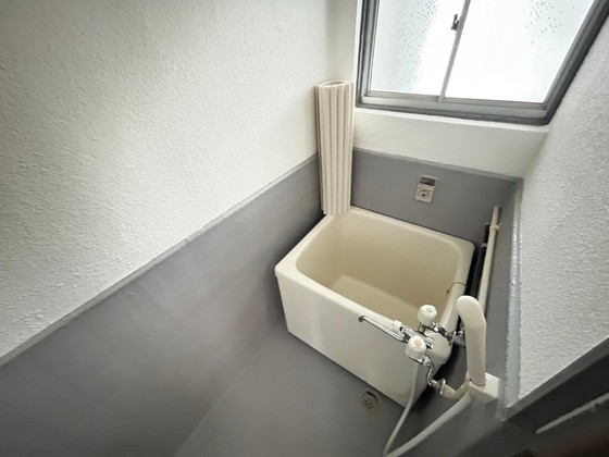 バス・シャワールーム　※別号室のお写真です。