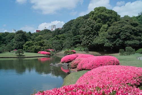 公園　六義園（公園）まで452m
