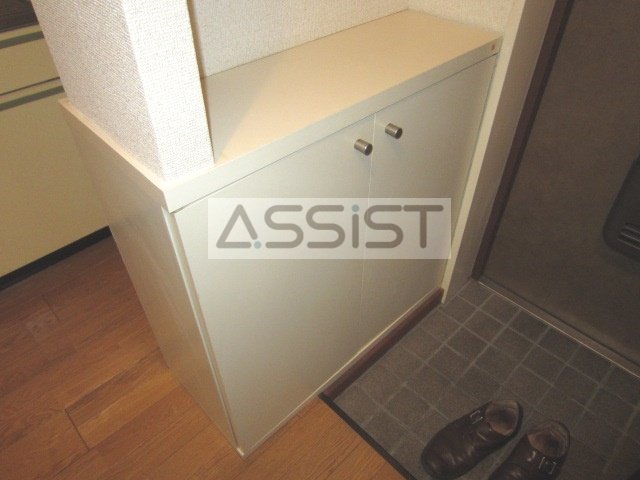 玄関　※他号室の参考写真です。