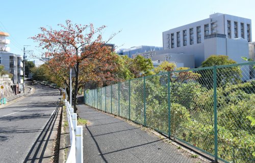 その他　名古屋大学鏡ヶ池口（その他）まで597m
