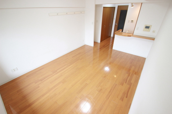 居室・リビング　※別部屋の写真です