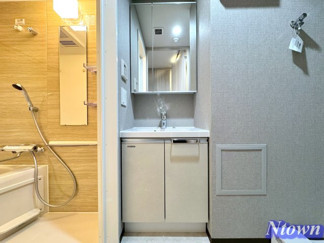 洗面設備　独立洗面化粧台が付いています