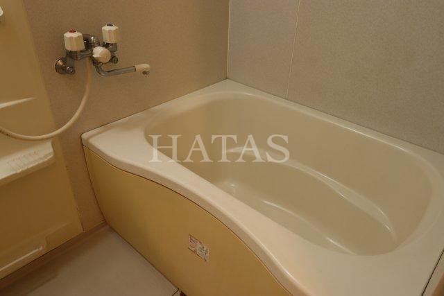 バス・シャワールーム　同物件別部屋です。