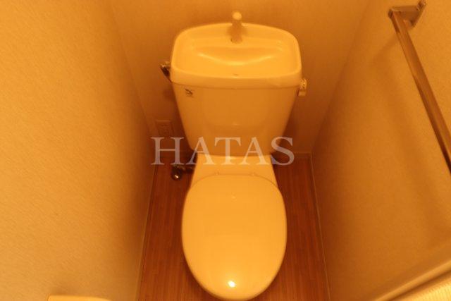 トイレ　同物件別部屋です。