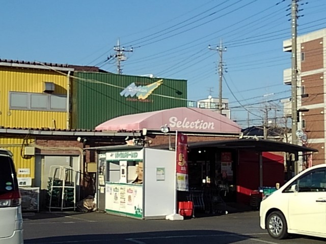 スーパー　セレクション 八潮店（スーパー）まで190m