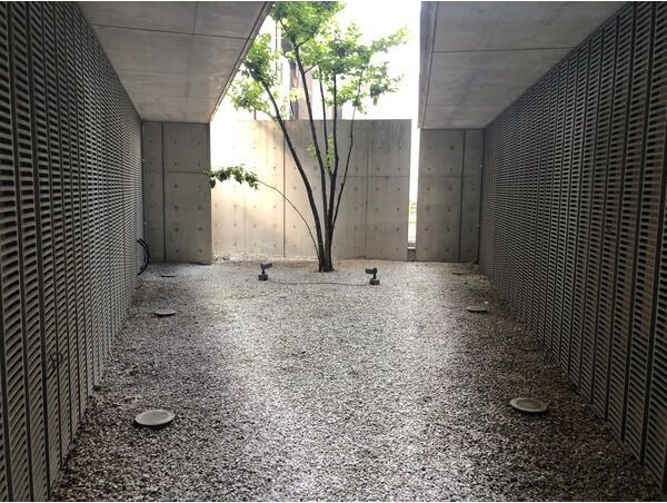 庭