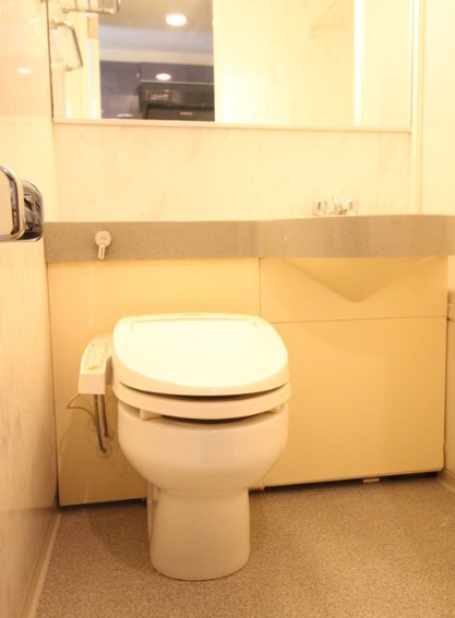 トイレ　他部屋参考写真