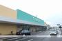 スーパー　ツルヤ平田店（スーパー）まで1500m