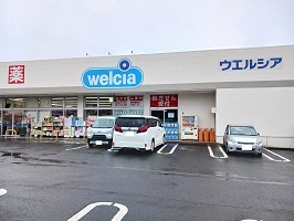 ドラックストア　ウェルシア江戸川本一色店（ドラッグストア）まで145m