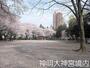 その他　神明神社（その他）まで546m