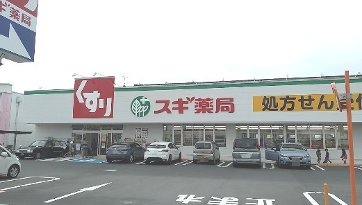 ドラックストア　スギドラッグ 東正雀店（ドラッグストア）まで1020m