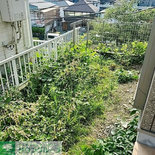 庭