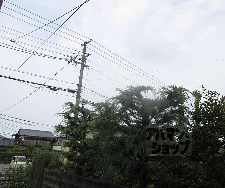眺望　涼しく綺麗です！