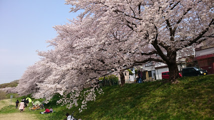 公園　大和田公園（公園）まで567m