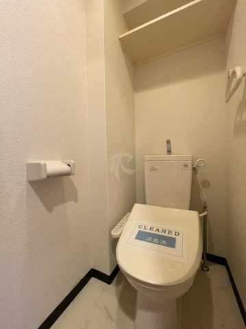 東京メトロ有楽町線 江戸川橋駅 徒歩1分 13階建 築25年のトイレ写真