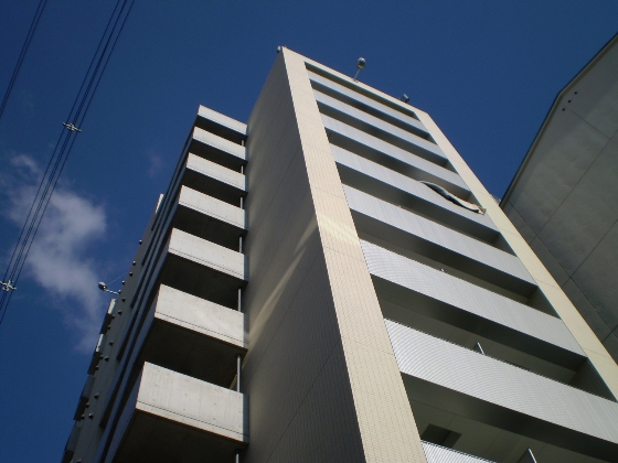 Ms’ PalazzO
