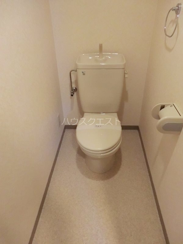 りさ・すみぞめのトイレ写真