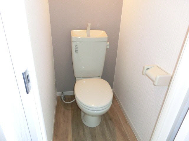 芦山グレイスマンションのトイレ写真