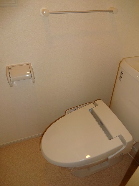 カルフールAのトイレ写真