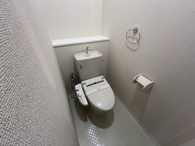 ルミナスコート安田のトイレ写真