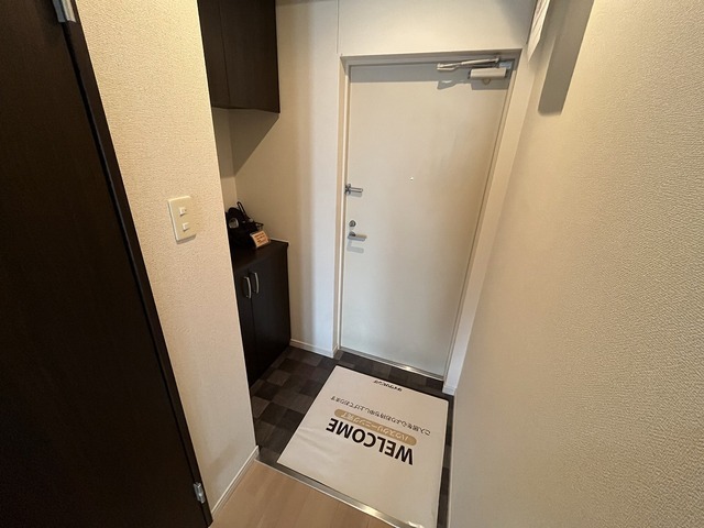 ルミナスコート安田の玄関写真