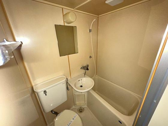 バス・シャワールーム　※別部屋の写真です