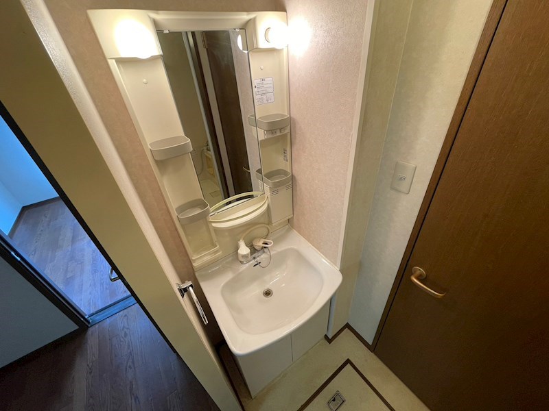 洗面設備　※別号室の写真使用中