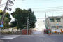 中学校　冨士中学校（中学校）まで618m