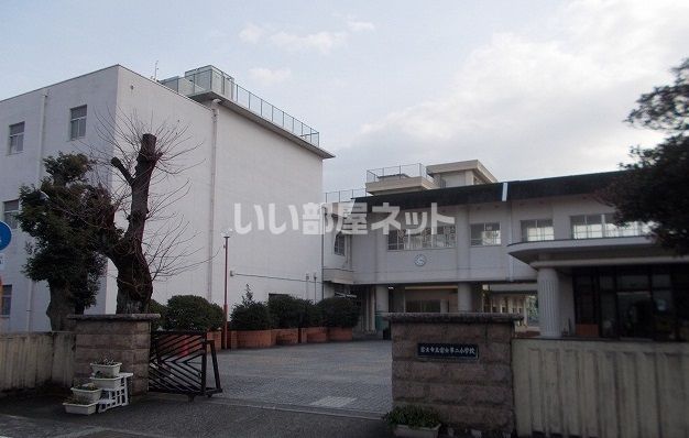 小学校　富士第二小学校（小学校）まで491m