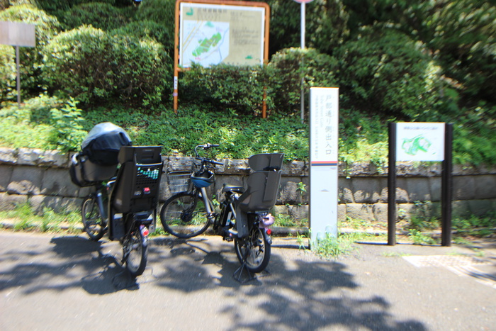公園　掃部山公園（公園）まで210m