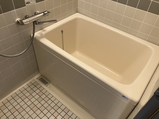 バス・シャワールーム　落ち着いた空間のお風呂です