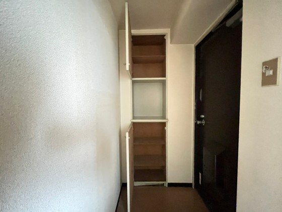 収納　※別部屋の写真です