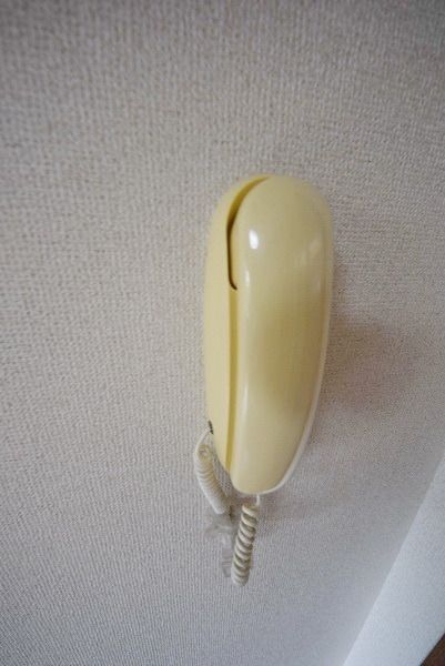 セキュリティ　インターフォン