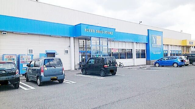 ドラックストア　薬王堂江刺店（ドラッグストア）まで600m