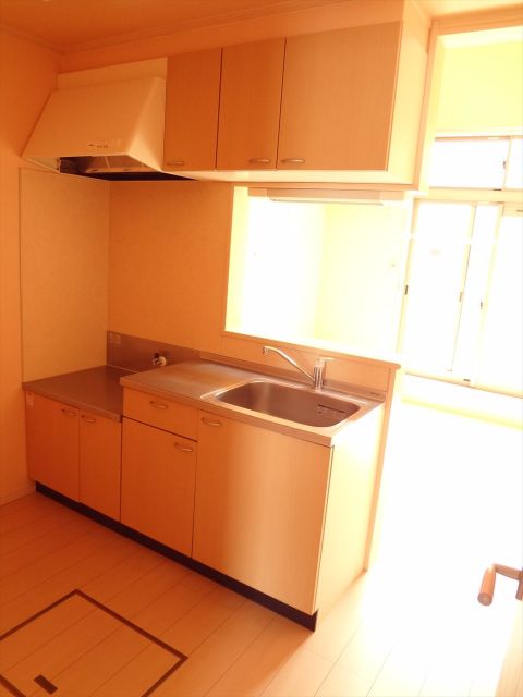 PUREGOLDIIのキッチン写真