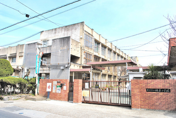 小学校　枚方市立樟葉小学校（小学校）まで506m