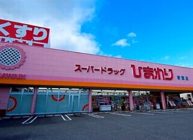 【岡山市中区平井のアパートのドラックストア】