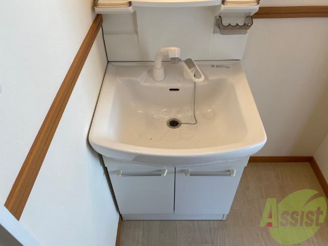 洗面設備　シャワー付きの独立洗面台が付いております。