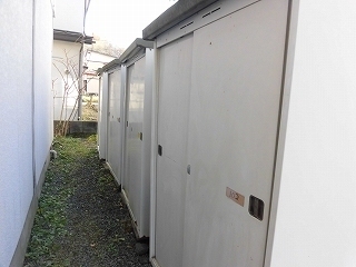 クレアシラユリ_その他_1