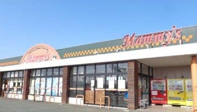 スーパー　マミーズ大刀洗店（スーパー）まで1600m