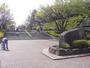 公園　横山公園（公園）まで823m